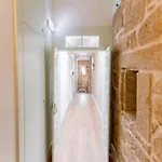 Albergue Douro Village